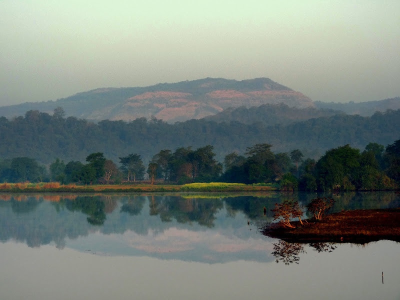 Kolad
