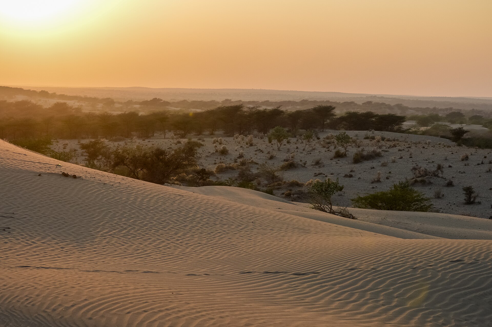 Sam Sand Dunes