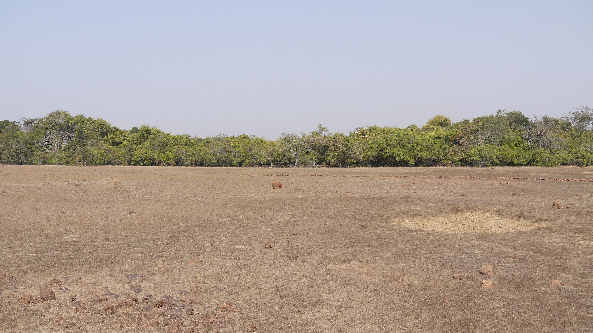 Phansad Wildlife Sanctuary